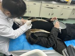 -成都大华医学美容医院