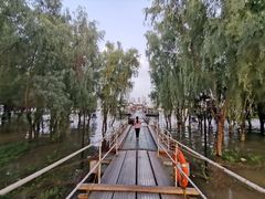 -武汉两江游览·夜游长江(汉口粤汉码头)