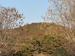 -秦始皇帝陵博物院-丽山园