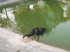 -北京鹿世界主题园