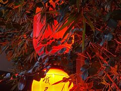 -廖哥泡椒兔(峨眉店)