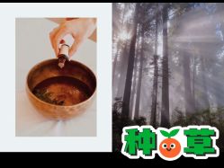 -芳香乐府疗愈空间·SPA·冥想