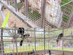 -广东花都香草世界旅游度假区