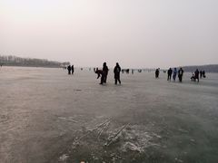 -丁香湖公园
