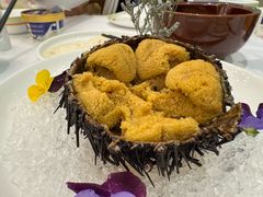 -开海·红岛海鲜虾水饺(石老人店)