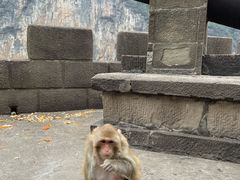 -白帝城·瞿塘峡景区