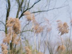 -西湖风景区-江洋畈生态公园