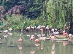 -宁波野生动物园