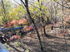 -帽儿山风景区
