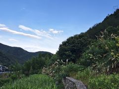-芦茨金富饭庄·25年老字号·专做稻草鸡
