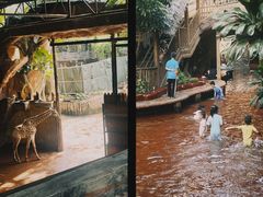 -长鹿旅游休博园
