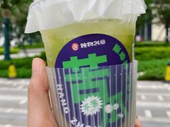 -炖物24章·顺时轻养茶(黄龙店)