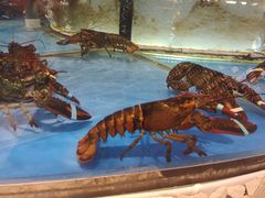 -斯比特花园西餐厅(东方商厦店)