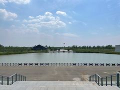 -盐城丹顶鹤湿地生态旅游区