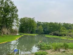 -桤木河湿地公园