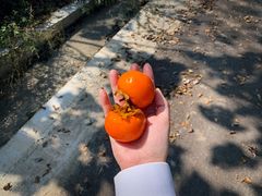 -云丘山景区