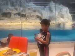 -帝企鹅自助餐厅•儿童岛•真企鹅(长隆企鹅酒店)