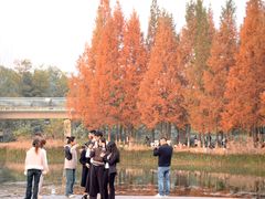 -白鹭湾湿地公园