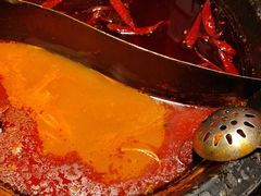 -蜀大侠火锅(总府路店)