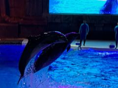 -波塞冬旅游度假区