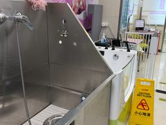 -北京观赏动物医院·24小时大型综合·猫专科·异宠专科
