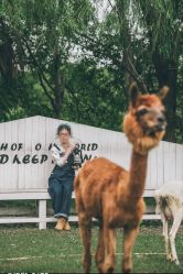 -七色田儿童摄影(静安店)