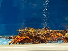 -北塘海鲜·天津菜(大光明桥旗舰店)