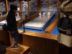 -东京塔海贼王主题公园