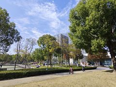 -南翔镇银翔湖公园
