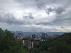 -福道