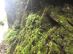 -夏霖九天银瀑风景区