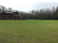 -合肥滨湖国家森林公园