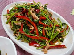 红椒香菜肉丝-乐乐餐厅(湘子庙街店)