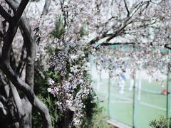 -山东师范大学(千佛山校区)