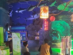 -烟台海昌鲸鲨海洋公园