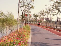 -上海长兴岛郊野公园