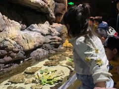 -江和美海洋公园