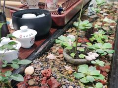-厦门老字号·旷野茶叶(茶厂直营中山路店)