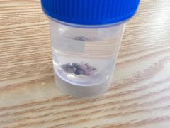 -派联宠物医院·24h·CT·异宠
