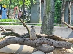 -长廊欢乐园