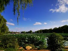 -长春市南湖公园