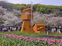 -苏州上方山国家森林公园