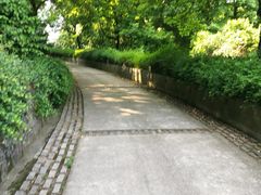-上海市保健医疗中心(华东疗养院)