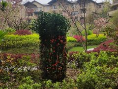 -浙江安吉JW万豪酒店·万豪中餐厅