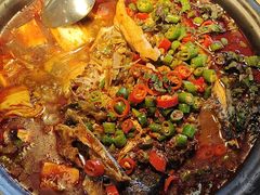 -探鱼·鲜青椒爽麻烤鱼(天河优托邦店)