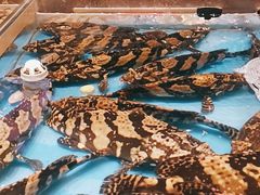 -百富源·海鲜辽菜(和平北大街店)