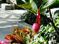 -北京植物园-展览温室