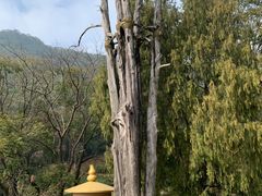 -灵光寺