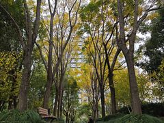 -南翔镇银翔湖公园