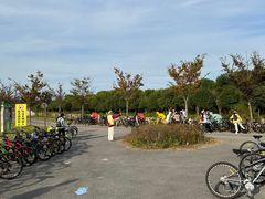 -上海长兴岛郊野公园